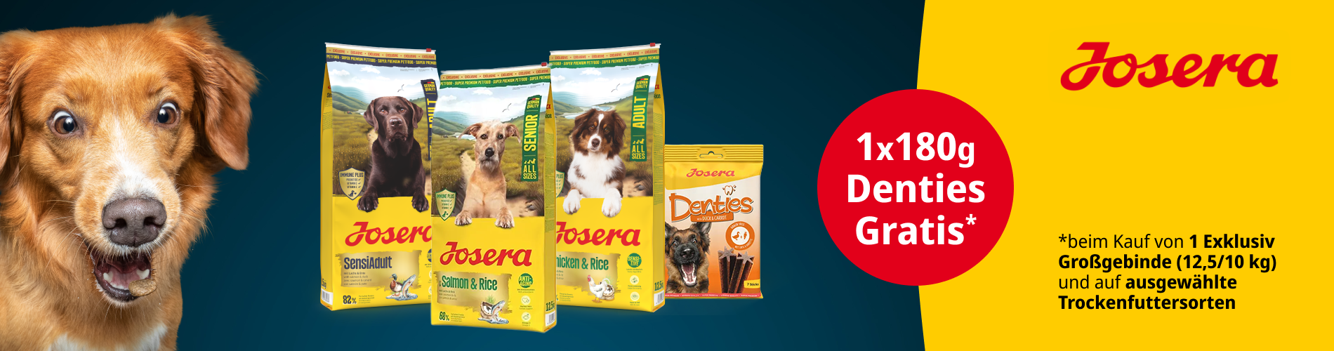 2025-11 Hund Grogebinde 12,5 kg + 180g Denties gratis