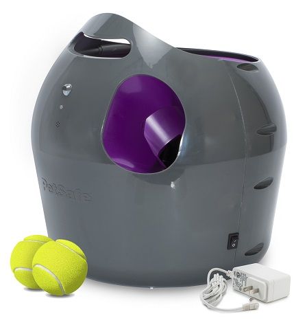 PetSafe Ballwerfer automatisch
