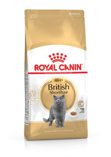 Royal Canin Feline British Shorthair Adult 10kg