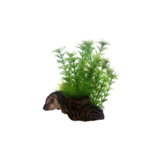 Dohse HOBBY Flora Root 3 Small 17 cm