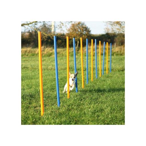 Trixie Dog Activity Agility Slalom