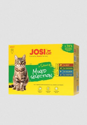 JosiCat Multipack Sauce Mixed Selection 12x85g (Menge: 4 je Bestelleinheit) JosiCat Multipack Sauce Mixed Selection 12x85g (Menge: 4 je Bestelleinheit)