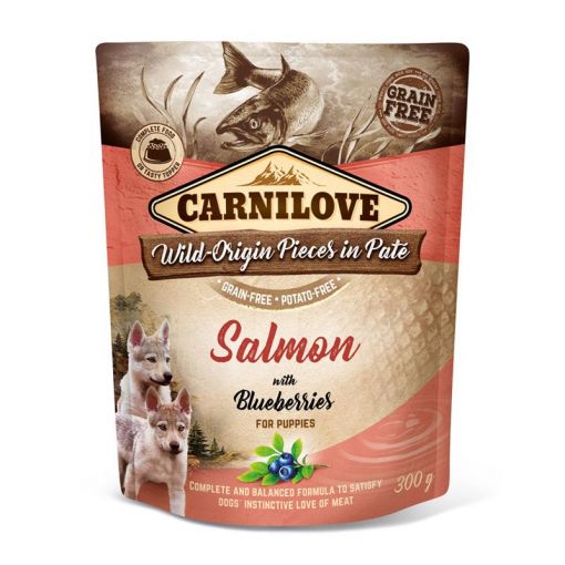 Carnilove Dog Pouch Pate Lachs & Blaubeeren für Welpen und Junghunde 300g (Menge: 12 je Bestelleinheit)