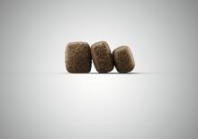 Josera Geflügel & Forelle 900 g (Menge: 5 je Bestelleinheit)