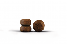 Josera Cat DailyCat 10 kg