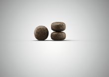 Josera Welpenbox SensiJunior 900 g