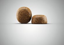 Josera Large Breed 2 x 12,5 kg Sparpaket