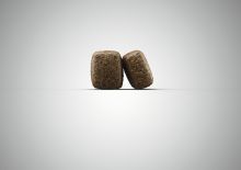 Josera SensiAdult 2 x 12,5 kg Sparpaket