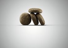 Josera Lachs & Kartoffel 12,5 kg