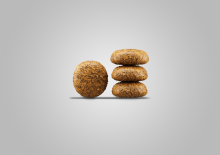 Josera Mini Duck & Potato 10 kg