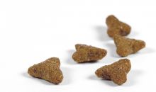 Josera Cat Leger 2 x 10 kg - Sparpaket