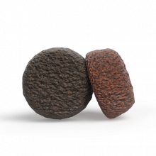 Josera FiestaPlus 12,5 kg + Denties Duck & Carrot 180 g Gratis