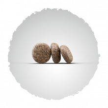 Josera Mini Junior 900 g (Menge: 5 je Bestelleinheit)