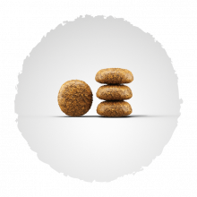 Josera Miniwell 900 g (Menge: 5 je Bestelleinheit)