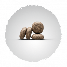 Josera MiniDeluxe 900 g (Menge: 5 je Bestelleinheit)