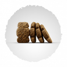 Josera Kids 900 g (Menge: 5 je Bestelleinheit)