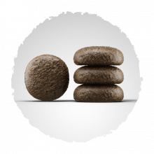 Josera Festival 900 g (Menge: 5 je Bestelleinheit)