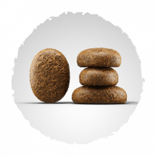 Josera Optiness 900 g (Menge: 5 je Bestelleinheit)