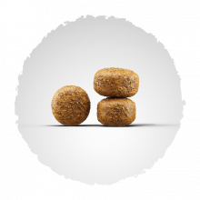 Josera Balance 900 g (Menge: 5 je Bestelleinheit)