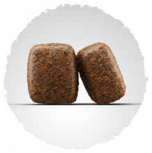 Josera Nature Energetic 900 g (Menge: 5 je Bestelleinheit)