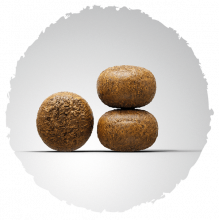 Josera Young Star 900 g (Menge: 5 je Bestelleinheit)