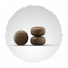 Josera Light & Vital 900 g (Menge: 5 je Bestelleinheit)