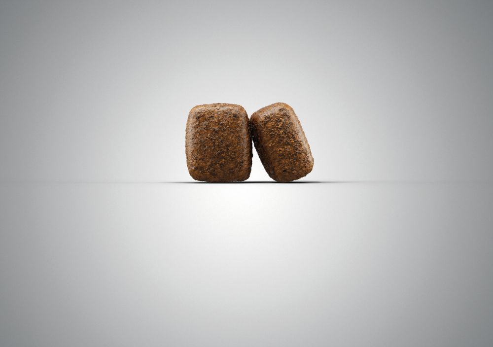 Josera - Pienso para Perros - 15 kg - Nature Energetic - Con Ave de