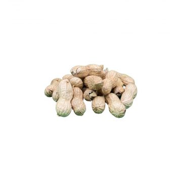 Erdnusskerne in der Schale 10kg Erdnusskerne in der Schale 10kg