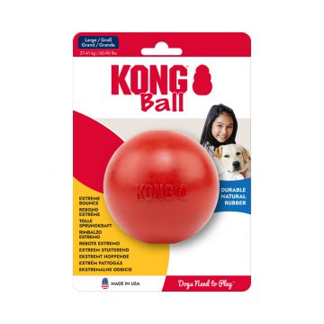 KONG Ball With Hole Large