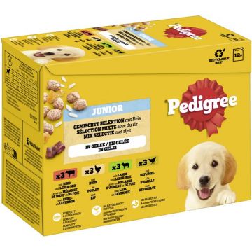 Pedigree Multipack PB Gemischte Selektion Junior in Gelee 4 Varietäten 12x100g (Menge: 4 je Bestelleinheit)