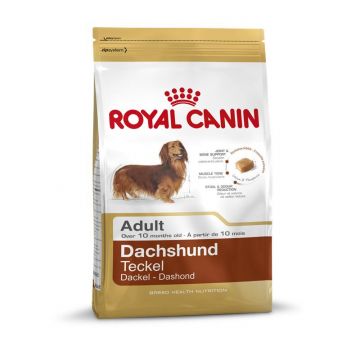 Royal Canin Dachshund Adult 1,5kg Royal Canin Dachshund Adult 1,5kg