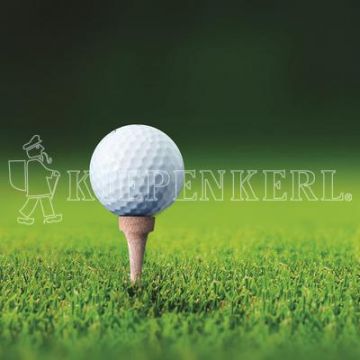 Kiepenkerl RSM 4.3 Golfrasen Abschlag 10 kg Kiepenkerl RSM 4.3 Golfrasen Abschlag 10 kg