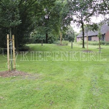 Kiepenkerl RSM 7.2.1 Landschaftsrasen Trockenlagen 10 kg Kiepenkerl RSM 7.2.1 Landschaftsrasen Trockenlagen 10 kg
