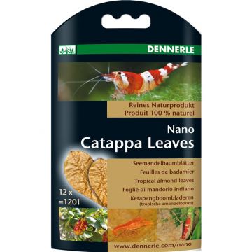 Dennerle Nano Catappa Leaves Dennerle Nano Catappa Leaves