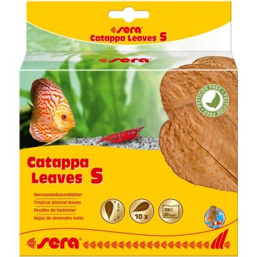 sera Catappa Leaves S 10-15 cm (10 St) sera Catappa Leaves S 10-15 cm (10 St)