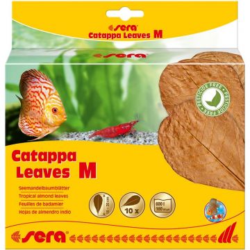 sera Catappa Leaves M 16-20 cm (10 St) sera Catappa Leaves M 16-20 cm (10 St)