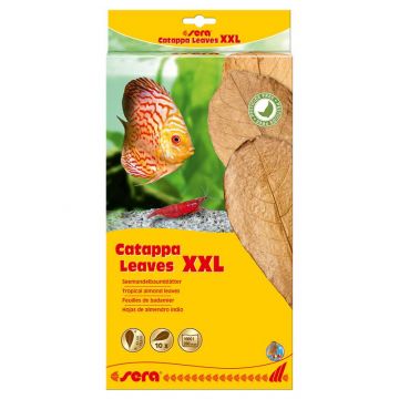 sera Catappa Leaves XXL 30-35 cm (10 St) sera Catappa Leaves XXL 30-35 cm (10 St)
