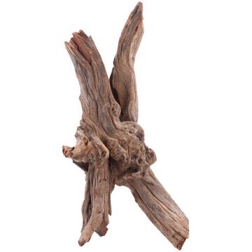 sera Drift Wood M 25-40 cm sera Drift Wood M 25-40 cm