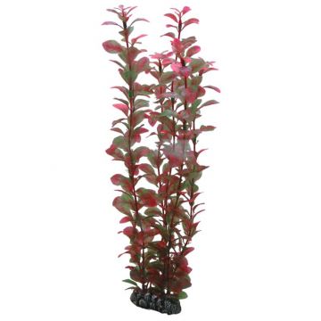 Dohse HOBBY Ludwigia 34 cm SB
