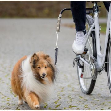 Trixie Biker-Set für Hunde Größe: S–M Trixie Biker-Set für Hunde Größe: S–M