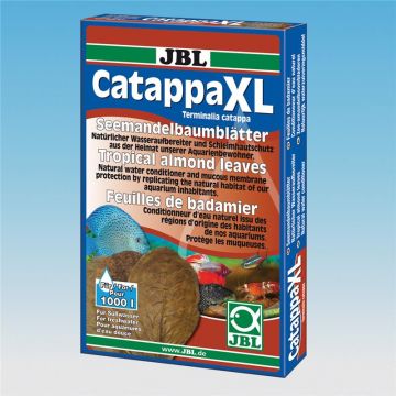 JBL Catappa XL JBL Catappa XL
