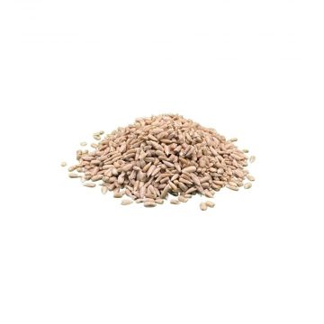 Sonnenblumenkerne geschält 25kg Sonnenblumenkerne geschält 25kg