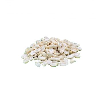 Erdnusskerne blanchiert 25kg Erdnusskerne blanchiert 25kg