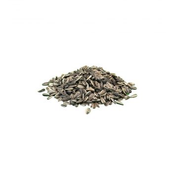 Sonnenblumenkerne gestreift 20kg Sonnenblumenkerne gestreift 20kg