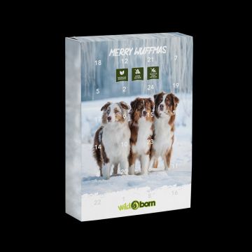 Wildborn Adventskalender