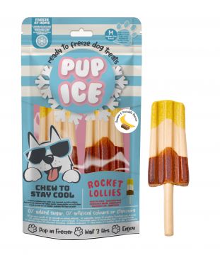 Pup Ice Dog Snack Rocket Lollies Banana & Chocolate &quote;M&quote; 1 x 2 Stück