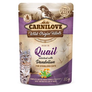 Carnilove Cat Pouch Quail with Dandelion 85g (Menge: 24 je Bestelleinheit) Carnilove Cat Pouch Quail with Dandelion 85g (Menge: 24 je Bestelleinheit)