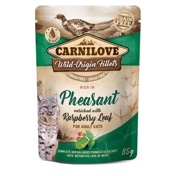 Carnilove Cat Pouch Pheasant with Raspberry Leaves 85g (Menge: 24 je Bestelleinheit) Carnilove Cat Pouch Pheasant with Raspberry Leaves 85g (Menge: 24 je Bestelleinheit)