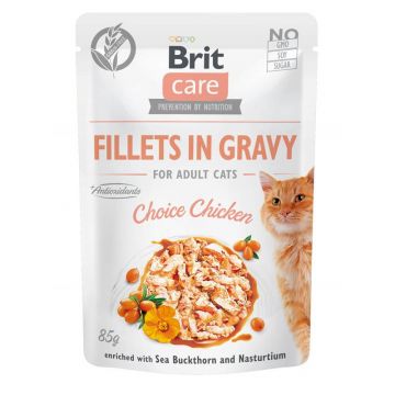 Brit Care Cat Fillets in Gravy Choice Chicken 85g (Menge: 24 je Bestelleinheit)