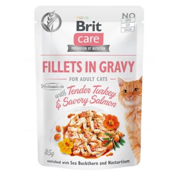 Brit Care Cat Fillets in Gravy with Tender Turkey & Savory Salmon 85g (Menge: 24 je Bestelleinheit)